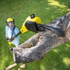 Best Lawn Drainage Solutions  in Rossville, MD