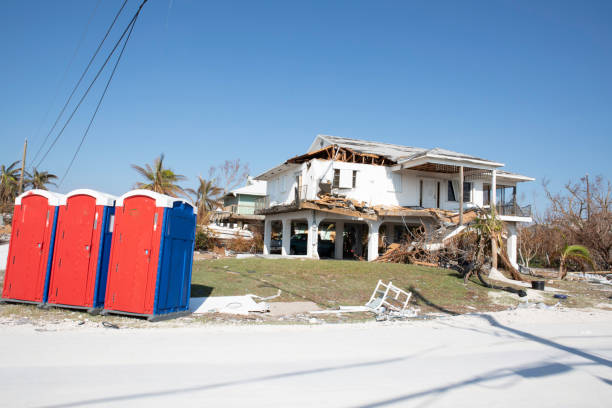 Best Stump Grinding and Removal  in Rossville, MD